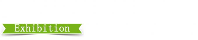 25T 高制御精度 プレート  vulkanising プレス 4