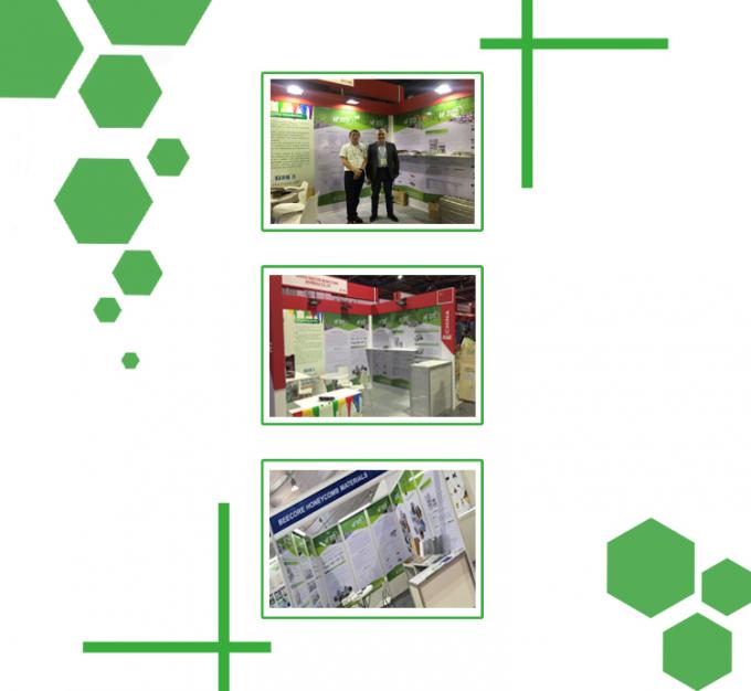 25T 高制御精度 プレート  vulkanising プレス 5