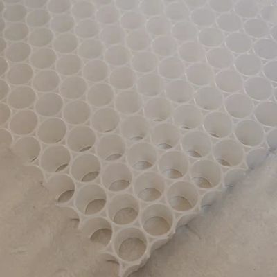 PickleballのかいPPプラスチック蜜蜂の巣中心1220x2440mm