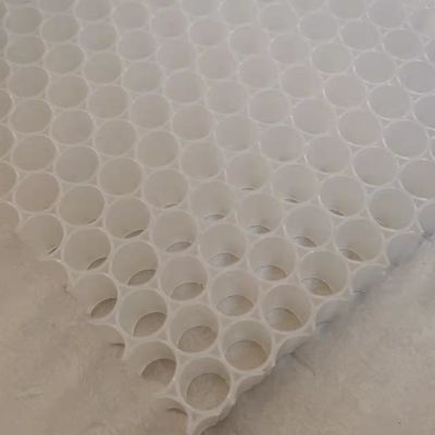 ピークボールペッドル PP プラスチック ハニーコムコア 1220x2440mm